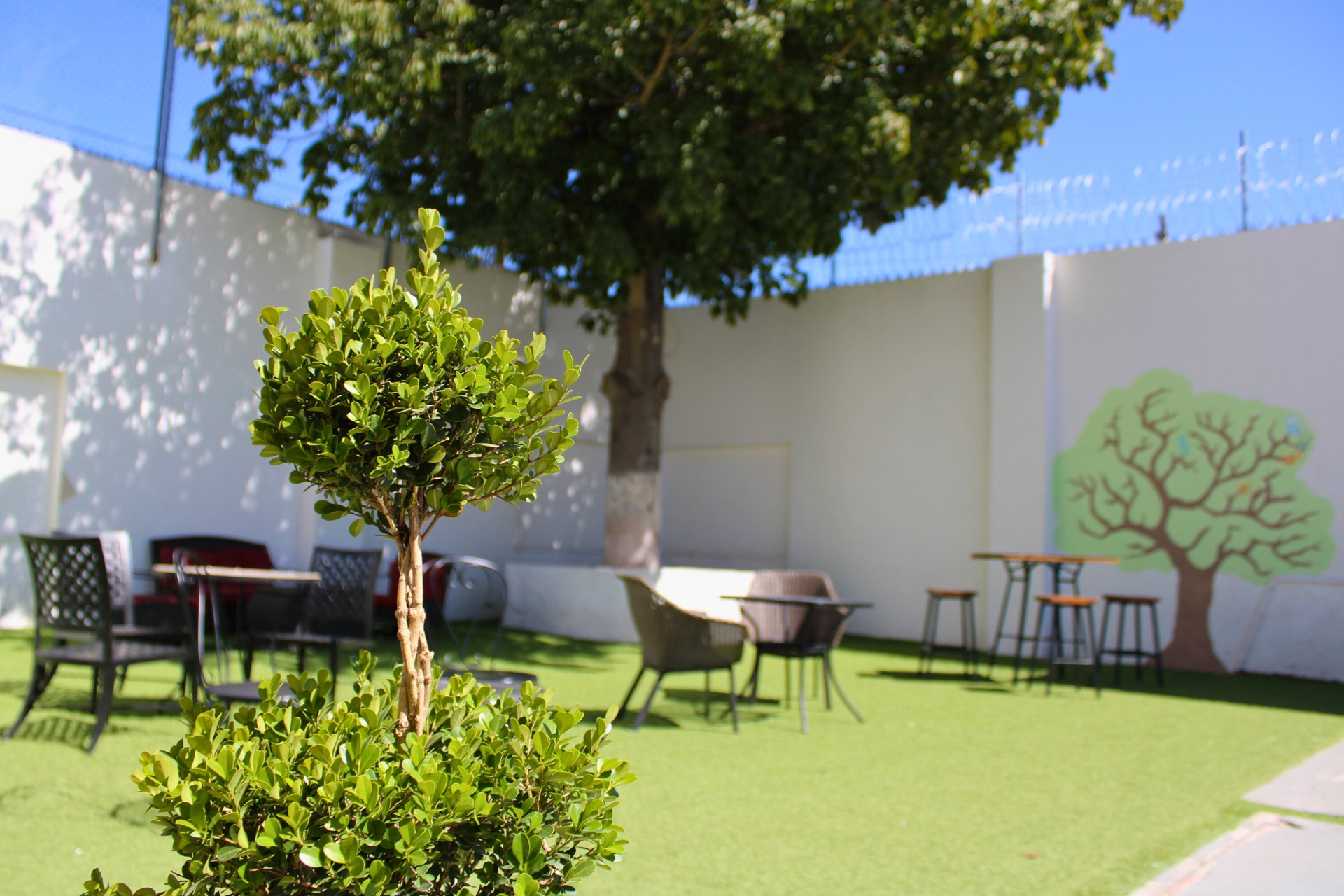 Patio Instalaciones Renasi