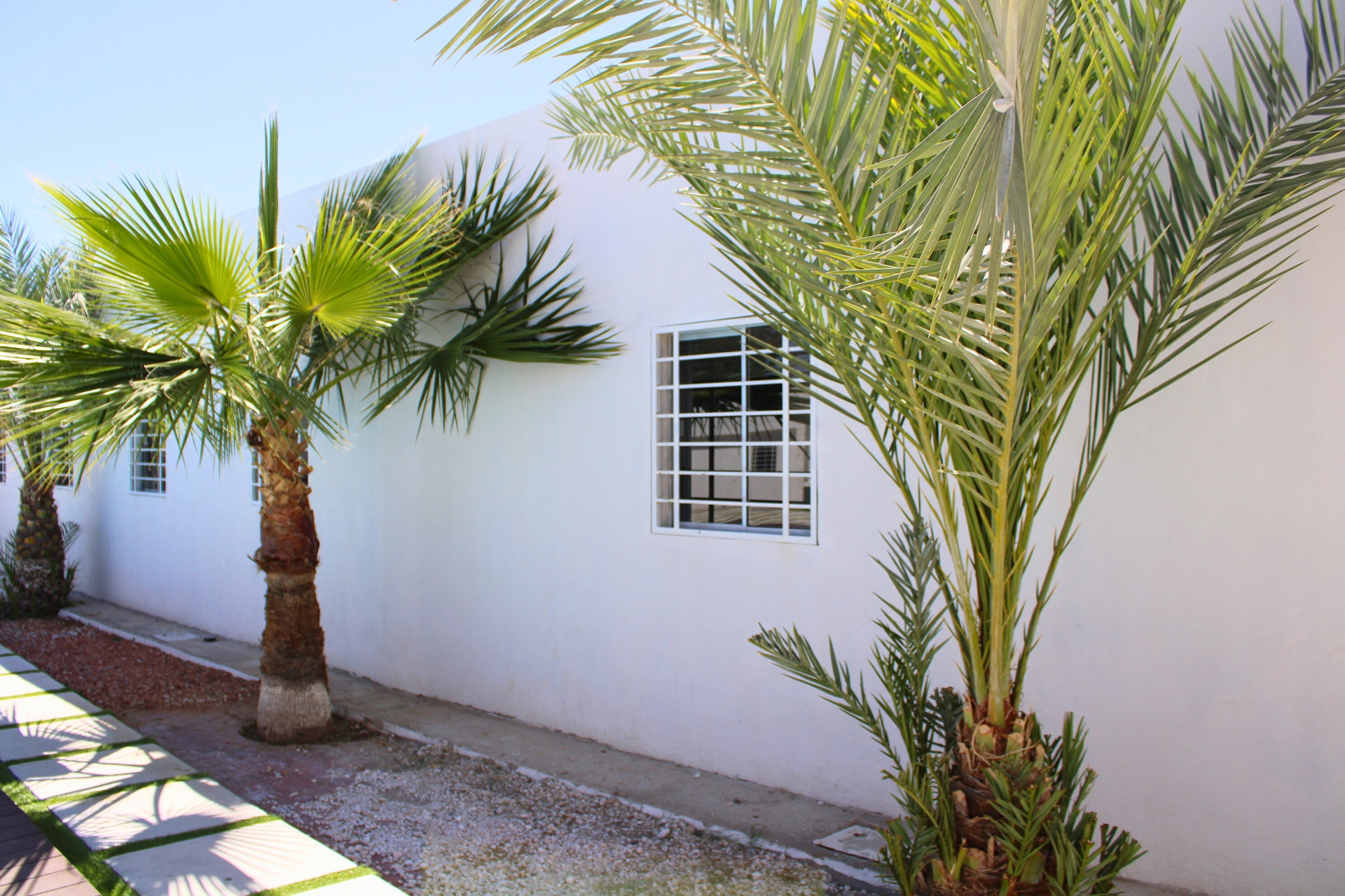 Patio Instalaciones Renasi