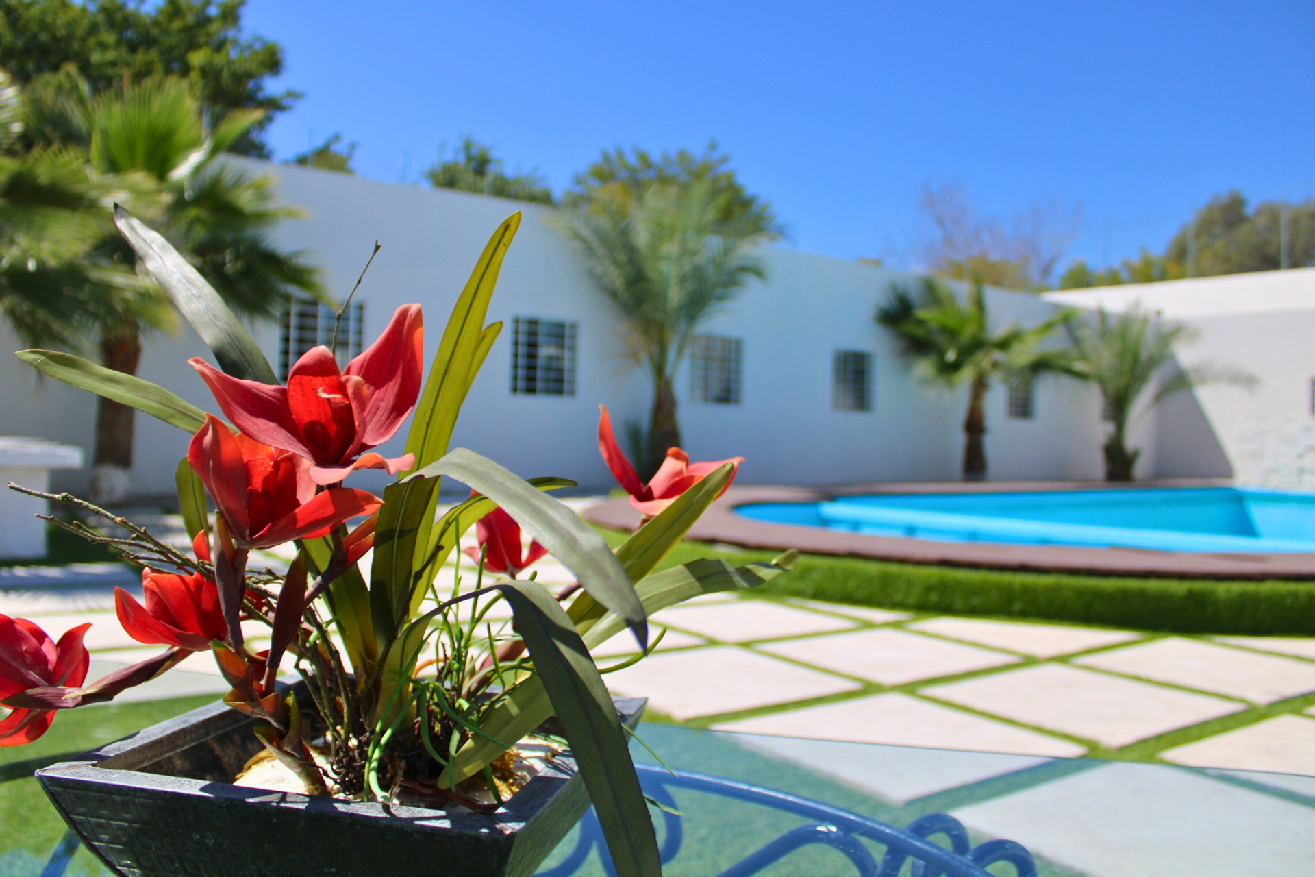 Patio Instalaciones Renasi